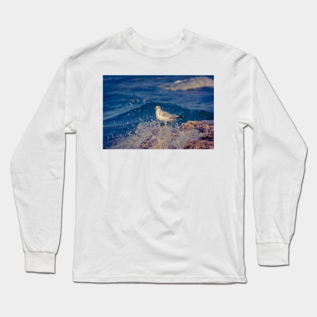 Solitary Seagull 3 of 3 Long Sleeve T-Shirt by Enzwell